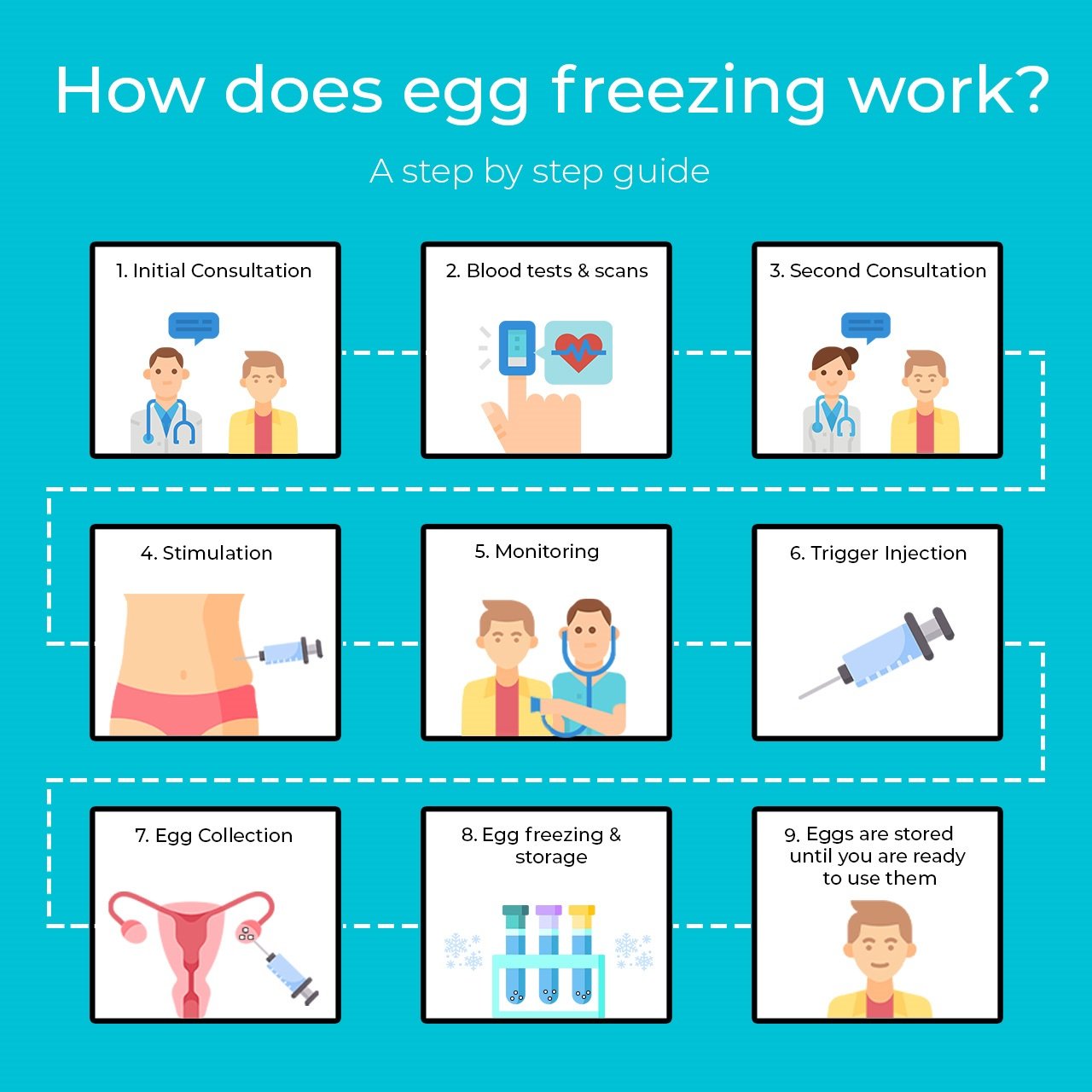 trans egg freezing graphic